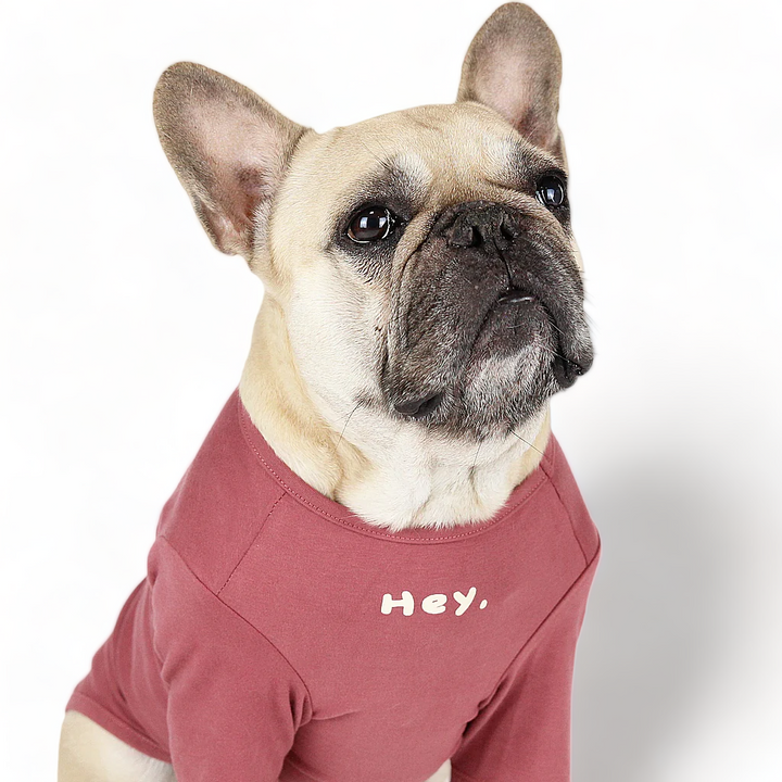 Super Soft Hey Shirt Blush