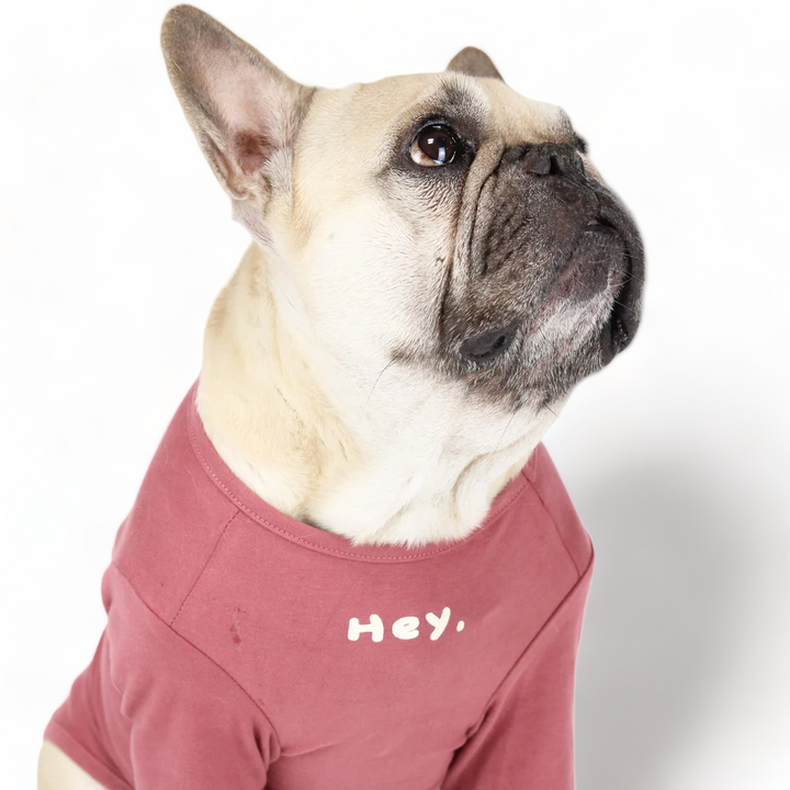 Super Soft Hey Shirt Blush