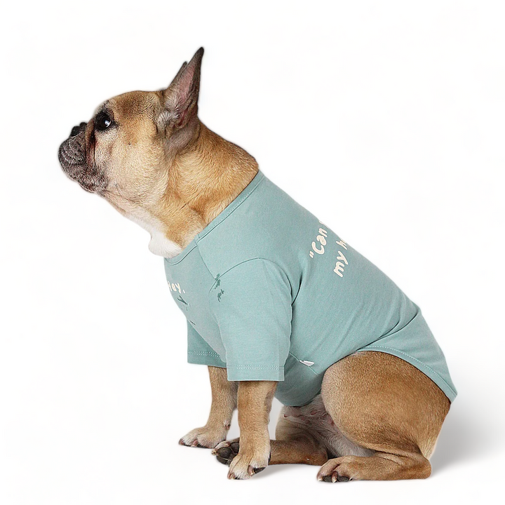 Super Soft Hey Shirt Teal