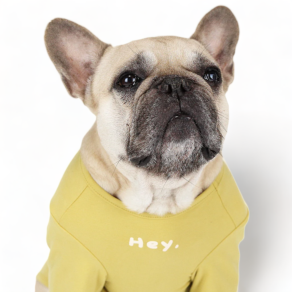Super Soft Hey Shirt Mustard