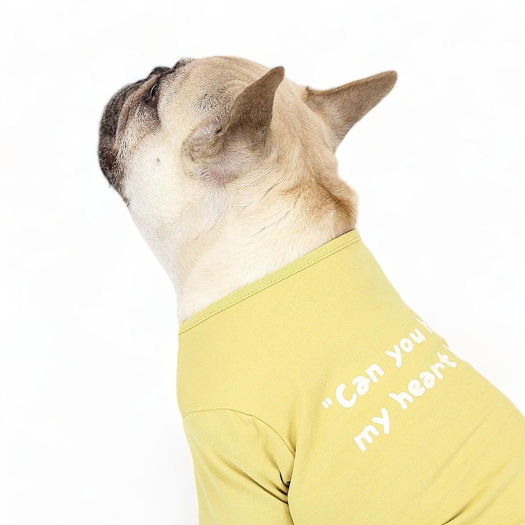 Super Soft Hey Shirt Mustard