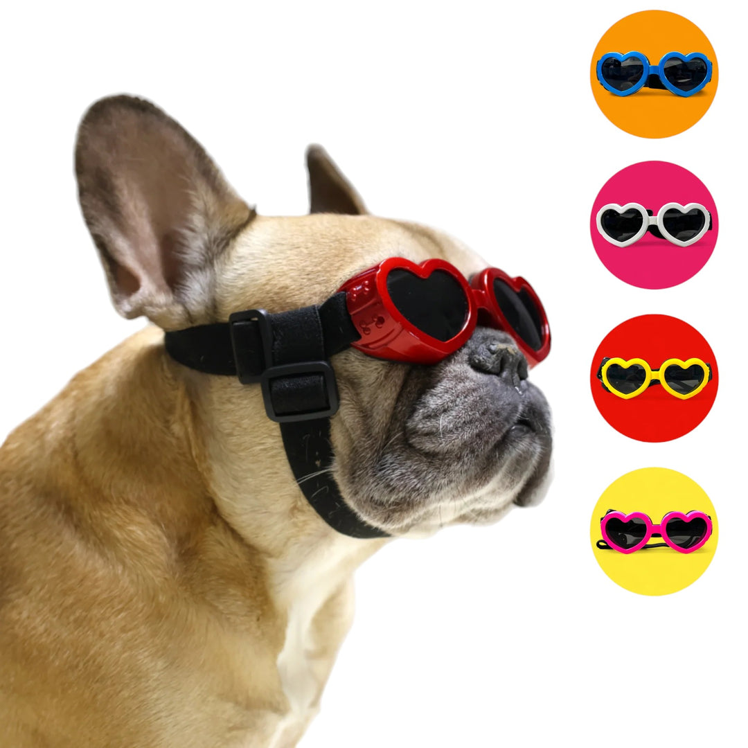 goggles en francais Doggo goggles