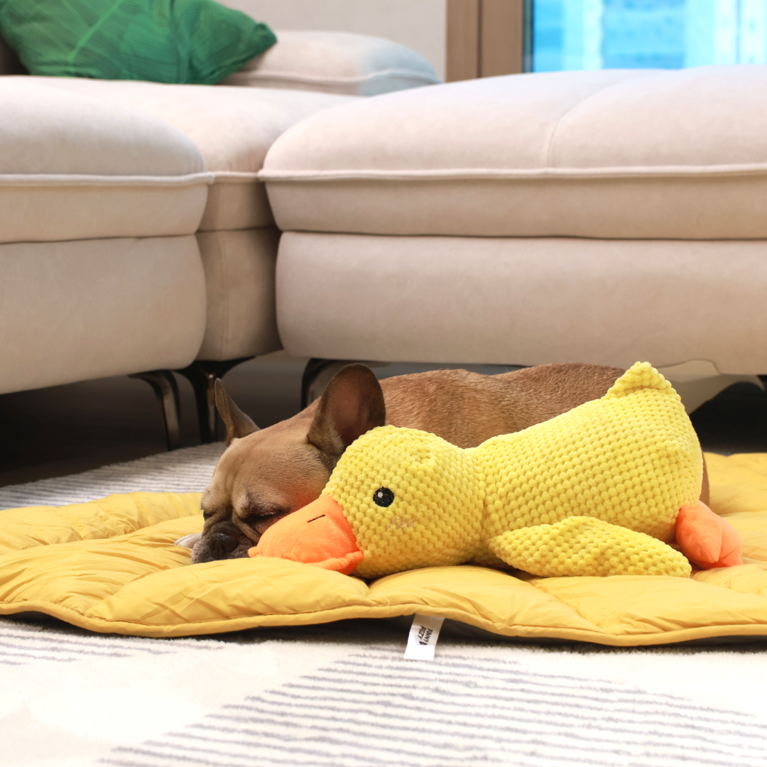 Cozy Combo (Mellow Mat + Calming Duck)