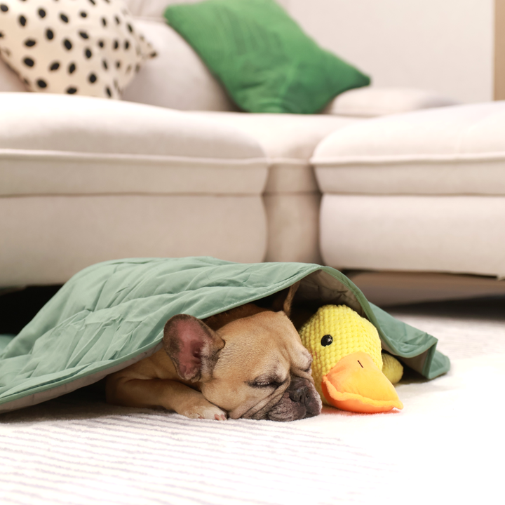 Cozy Combo (Mellow Mat + Calming Duck)