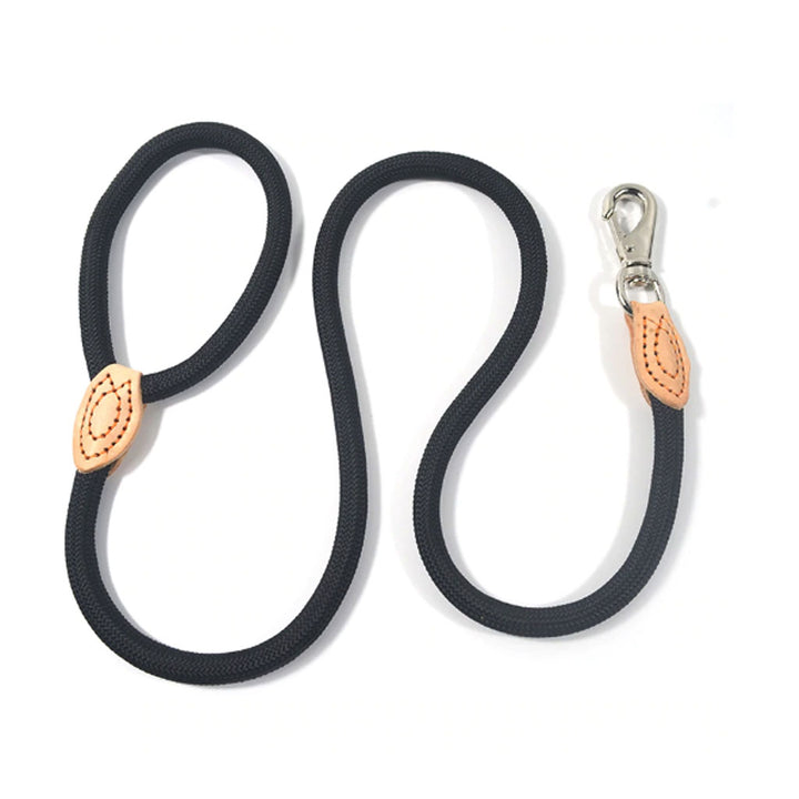 Classic Doggo Leash (4409277841542)