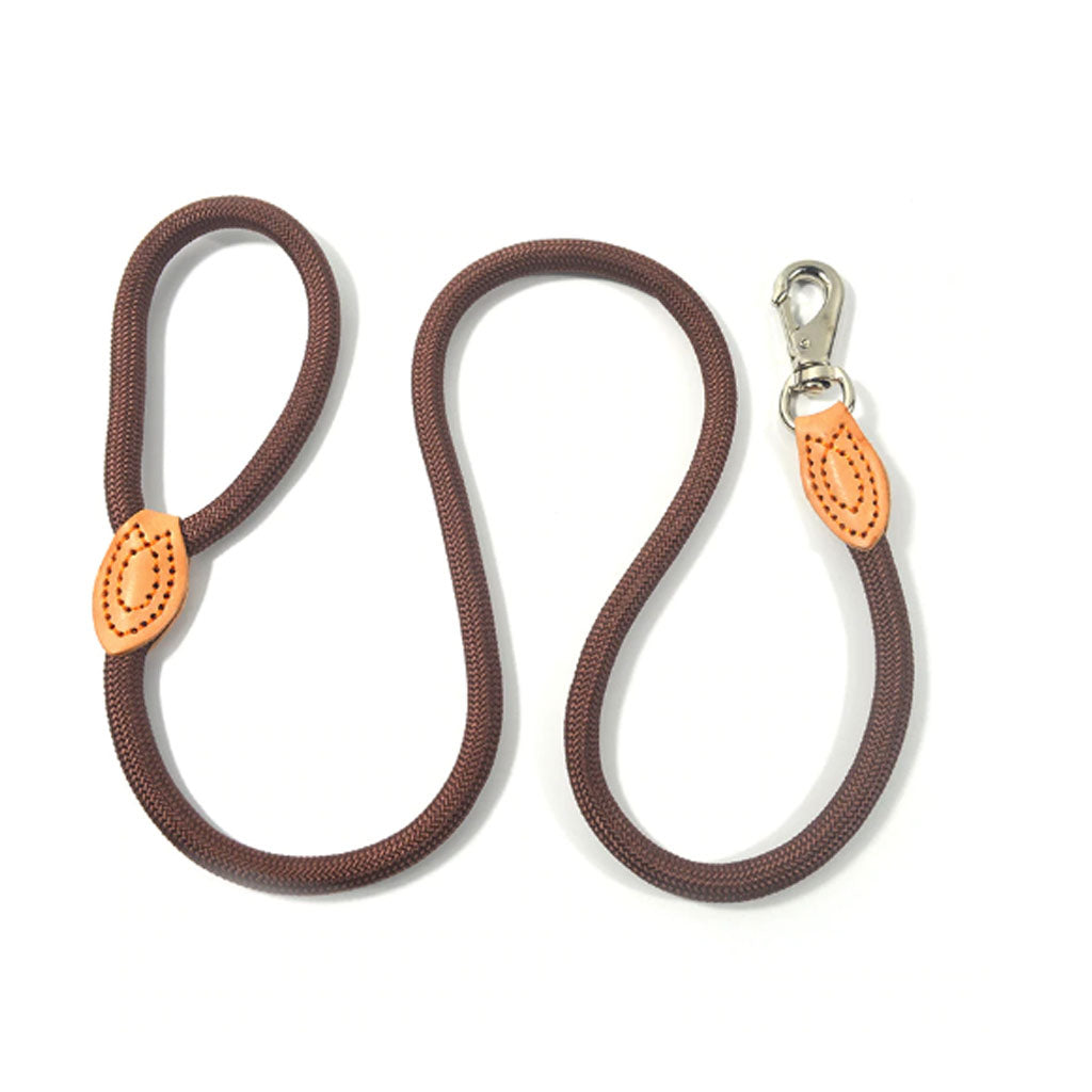 Classic Doggo Leash (4409277841542)