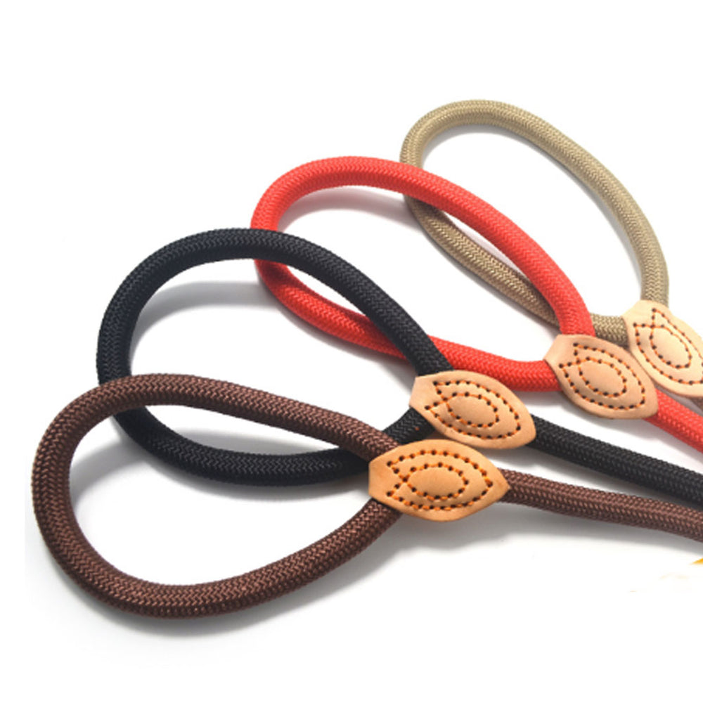 Classic Doggo Leash (4409277841542)